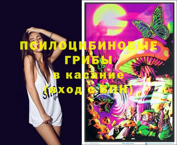 дмт Алзамай