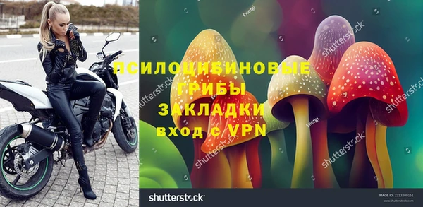 дмт Алзамай