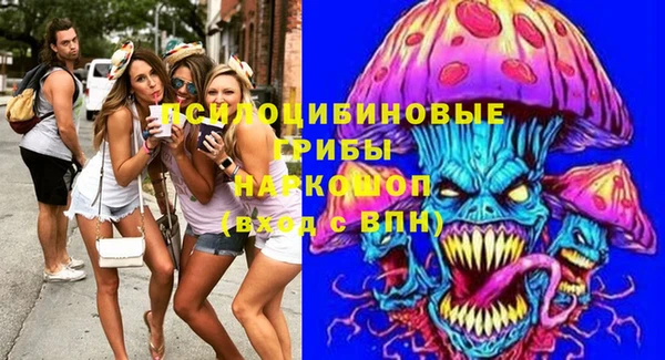 дмт Алзамай