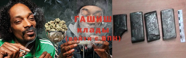 МДПВ Новозыбков