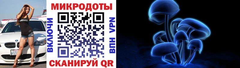 Псилоцибиновые грибы Psilocybine cubensis  купить наркотики цена  Ессентукская 